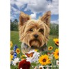 Yorkie Puppy Cut - Best of Breed Spring Flowers Garden