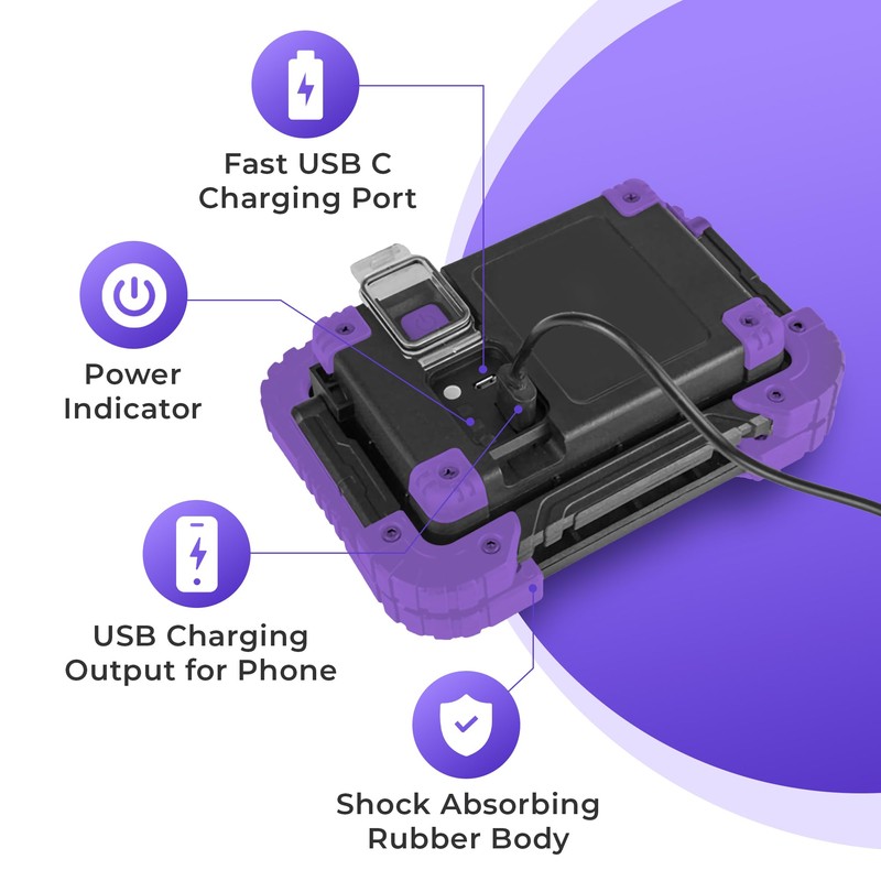 Neonic Rechargeable UV LED Black Light, Newer Model, 2 Pack