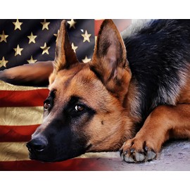 PAMMUQ DIY 5d Love Diamond Art Painting Kit for Adults Brown Flag Dog German Shepherd Round Full Drill Craft Diamond Art Painting Canvas for Home Wall Decor40*50