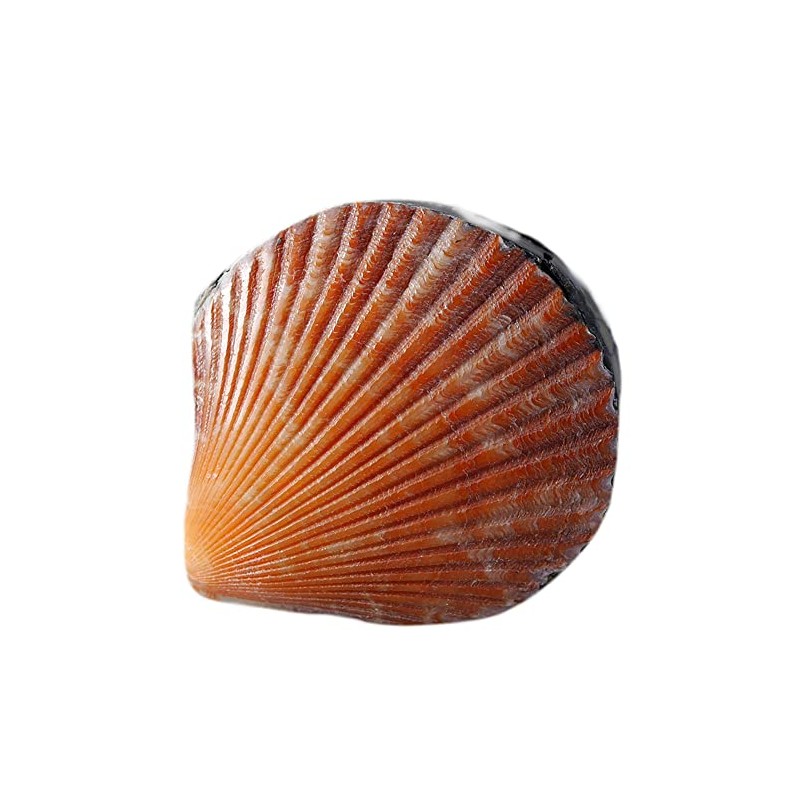 ART-CRAFT Small Shell Box Orange Ring Box with Lid Ring