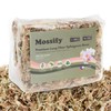 Mossify Premium Sphagnum Moss for Plants 50g, 1.8 Oz -