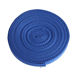 Polypropylene Webbing Straps Tape Backpack Luggage Straps Crafts Outdoor DIY Colours Lengths (Blue, 25mm (1") / 2m)