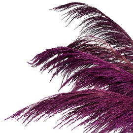 Purple Pampas Grass Decor Tall, 4pcs 43.3" Natural Dried Colorful Pompas Floral with Dried Plant Aroma, Romantic ,Elegant Large Dried Flowers for Living Room Decor, Long Purple Feather Flowers