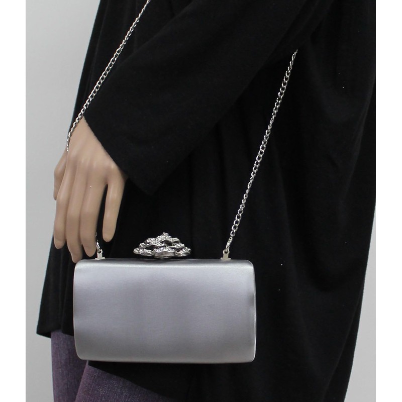 SwankySwans Women's Rosie Clutch Bag, silver