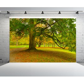 chnywork 7x5ft Spring Autumn Backdrop Park Meadow Old Tree Nature Scenery Photography Background for Outdoor Picnic Party Decoration Kids Adults Travel Portraits Photo Studio Props Fabric