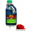 Lee Kum Kee Gluten-Free Premium Dark Soy Sauce 64 oz~Exp