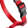 HUNTER Ecco Sport Rapid Nylon Harness, 25 cm, Large, Red