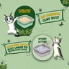 Catalyst Natural Soft Wood Cat Litter (2 Pack, 10lb Bags)