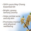 Plant Therapy May Chang (Litsea Cubeba) Essential Oil 10 mL