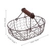 Baluue Wire Egg Basket, Chicken Egg Basket for Kitchen Egg