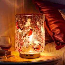 Rechargeable Battery Table Lamp Timer, Handmade Crackle Glass Lamps with Two-Level Dimmer, Emergency Cordless Lamp for Area No Plug, Decorative Mood Light for Entryway/Corner/Bedroom/Bathroom(Red)