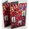 M·A·C 2 X MAC Lipstick 3 Color Sample Card (Ruby