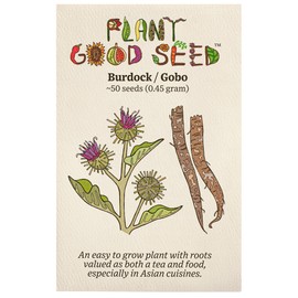 Plant Good Seed Organic Burdock Root Seeds for Planting: Nutrient Rich Herb, Large Green Leaves - 50 Seed Packet