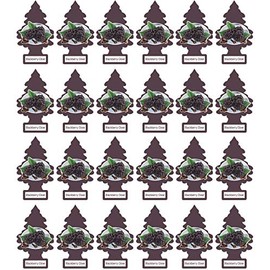 LITTLE TREES Car Air Freshener | Hanging Paper Tree for Home or Car | Blackberry Clove | Pack of 24