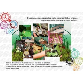 Crema Aclarante Magistral Baba De Caracol Helixileh                                                                                                   