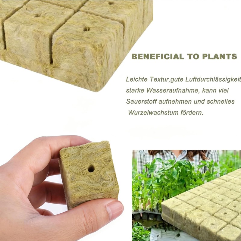 Gloryit Pack of 50 Rock Wool Cultivation, Rockwool Cubes, Rock