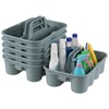 Hespama 6-Pack Cleaning Storage Caddy with Handle, Plastic Easy Carry