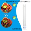 Ignixlite 24W PL24-C Fluorescent Light Bulb Replacement for OttLite B24553