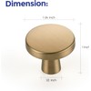 Ravinte 30 Pack Single Hole Kitchen Round Cabinet Knobs Champagne