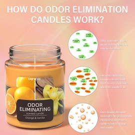 TRINIDa Orange & Vanilla Odor Eliminating Candles for Home Scented, Eliminates 99% of Pet, Smoke, Food and Other Smells Quickly, Highly Fragranced Candle, Premium Soy Candles Set for Women