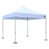 Eurmax USA Canopy Weights Cast Iron Weight for Pop up