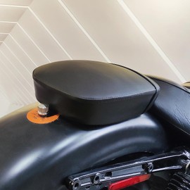 HDBUBALUS Motorcycle Rear Passenger Pillion Pad Seat w/Belt Passenger Seat Fit For Harley Sportster XL 1200 883 48 2016-2022