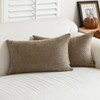 a moment Pack of 2 Decorative Chenille Throw Pillow Covers