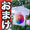 Floral Babydoll Preserved Flowers Rainbow Rose Jewelry Case