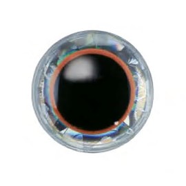 バスデイ(Bassday) ルアー修復・ハンドメイド用 立体目玉シール 3Dアイシール (EYE SEAL) シルバー (オレンジリング付) 10mm