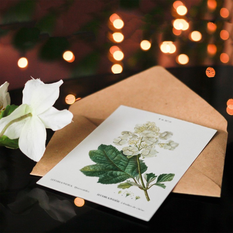 Artery8 Pierre-Joseph Redouté Art Card Oakleaf Hydrangea Flowers