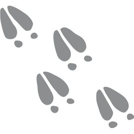 Express Yourself Deer Tracks Wall Decal (Med Grey -Facing as Shown- Small) - Big Game Collection