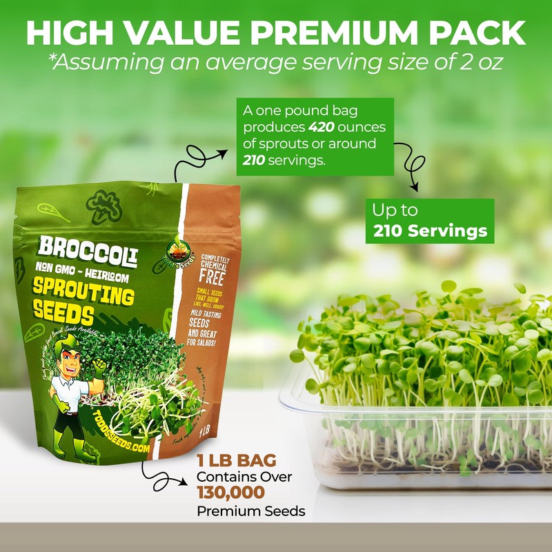 Todd’s Seeds - Calabrese Broccoli Sprouting Seeds, 1 lb -