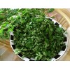 moringa Organic Moringa leaves 85.05 grams - 3oz/ Flordia Grown