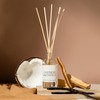 Sweet Water Decor Cashmere and Vanilla Reed Diffuser Set -