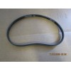 BIZERBA TENDERIZER RIBBED V-BELT MODEL S111 OEM# 50009750000
