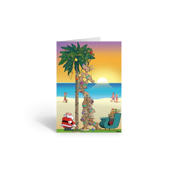 Palm Tree Ocean Sunset Card - Santa Decorates Palm Tree - 18 Boxed Christmas Cards and Envelopes (Standard)