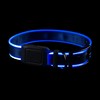 Nite Ize NiteDog Rechargeable LED Collar - Light Up Dog