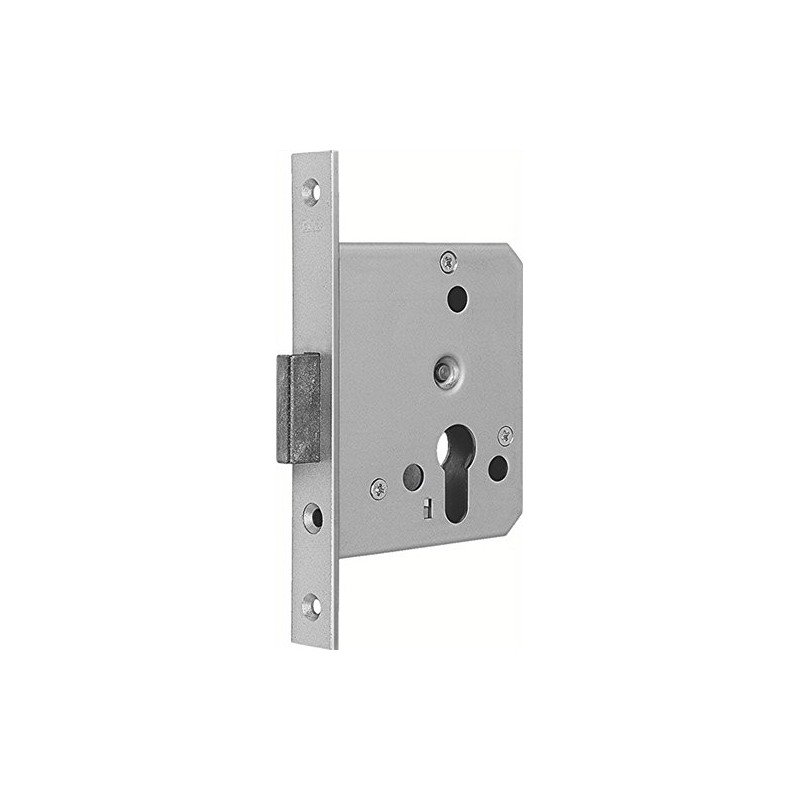 BKS Deadbolt Cylinder Lock Bolt 55 mm Strike Plate 20