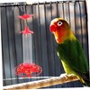Kisangel 2pcs Hummingbird Feeder Design for Outdoor Garden and Clean