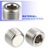 2 pieces 1/2 inch NPT stainless steel hexagon socket countersunk