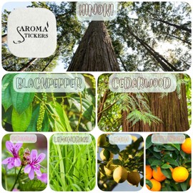 Aroma Stickers Original Blend Focus Edition- 100% Natural Essential Oil Scented Mask Stickers for Face Mask & Pillow (12 Stickers/pc) -Personal Aroma/Relaxing (Pack of 1)