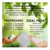 Piedra Alumbre Potasio Natural 500g
