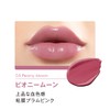 LIPGUARDIAN Mellow Wrapping Rouge 05 Pony Moon