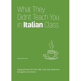 What They Didn't Teach You in Italian Class: Slang Phrases for the Cafe, Club, Bar, Bedroom, Ball Game and More (Slang Language Books)