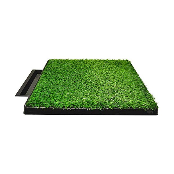 Downtown Pet Supply Dog Potty Tray Replacement for Dog Potty