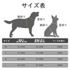 Dog Harness, Collar, Lead Set, Leash Set, Chest Harness, Check