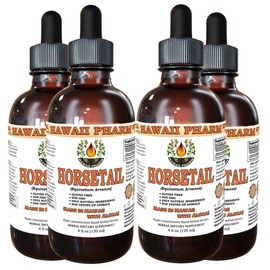 Horsetail Liquid Extract, Organic Horsetail (Equisetum arvense) Tincture Supplement 4x4 oz