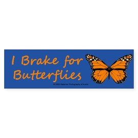 CafePress I Brake for Butterflies (Bumper Sticker 1) 10"x3" Rectangle Vinyl Bumper Sticker Car Decal