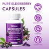 Elderberry - EIvera Gut Support Complex, 3-in-1 Gut Support Complex