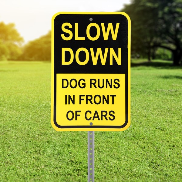 Bigtime Reflective Dog Slow Down Signs - Durable Metal Caution